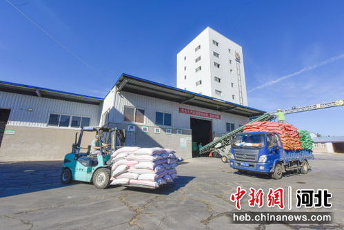 河北廣陽 以優質飼料品牌建設為引擎，驅動畜牧漁業高質量發展