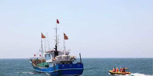 開捕喜訊 江蘇海洋漁業資源好轉 啟東漁民捕獲大黃魚售價1.8萬 畜牧漁業飼料銷售迎新契機